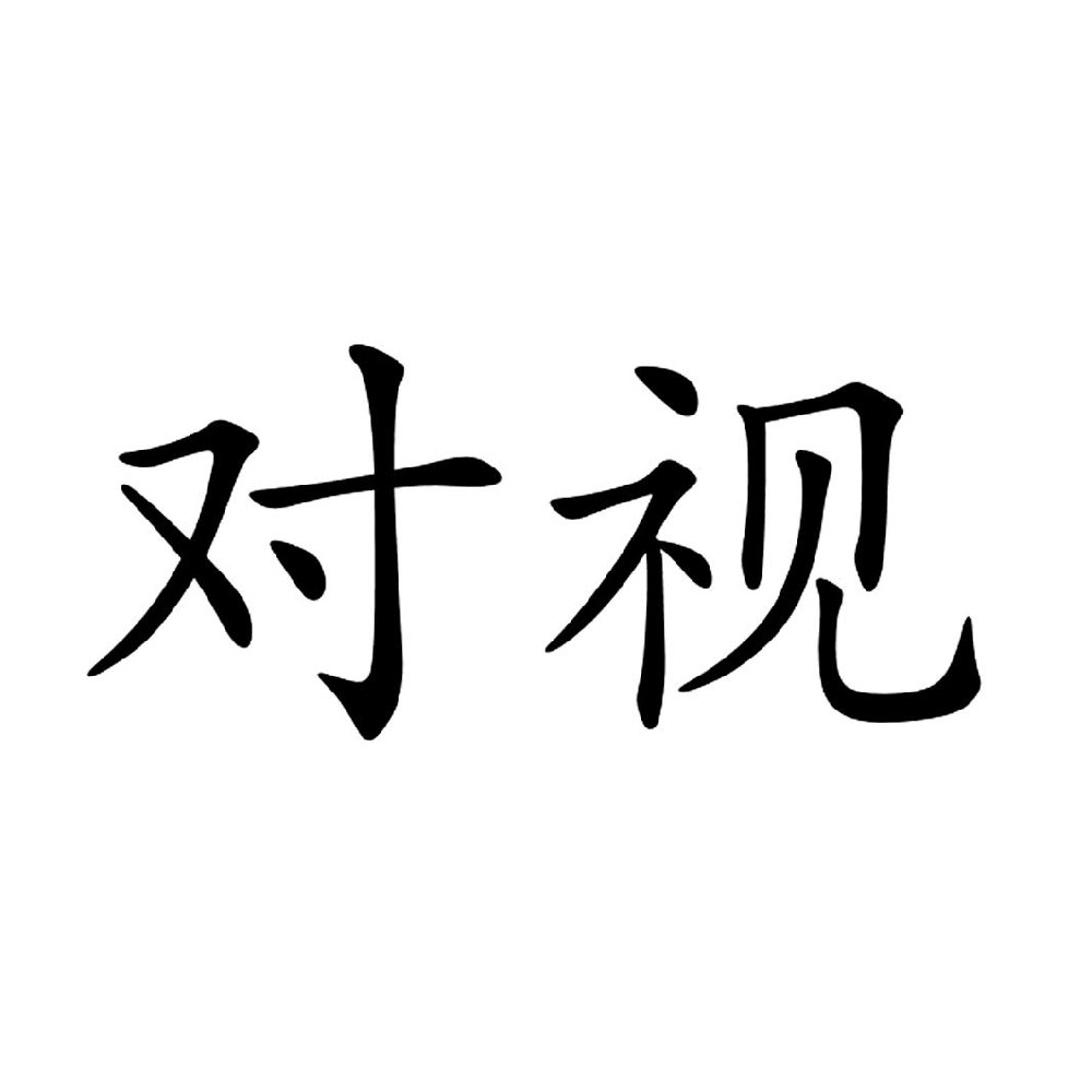 对视